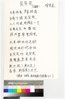 藏品(見笑花 (含羞草))的圖片